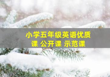 小学五年级英语优质课 公开课 示范课